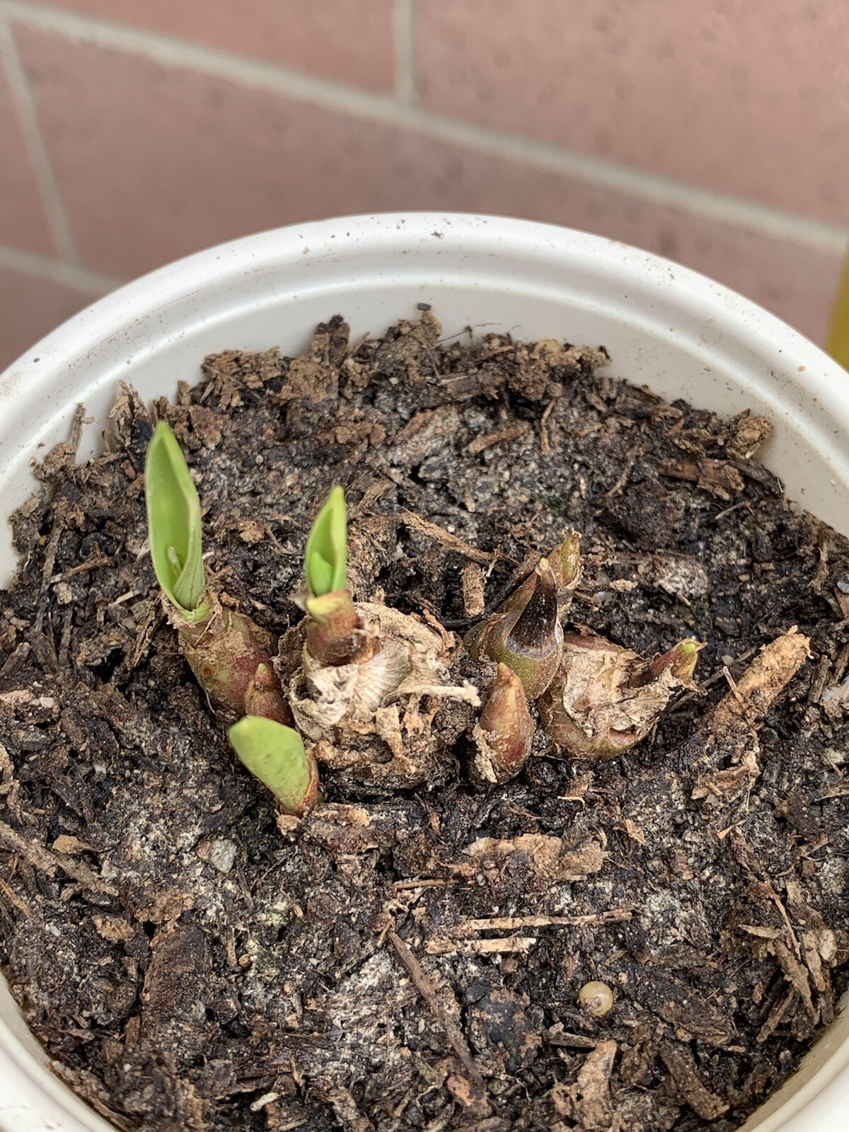 Picture 10 of 18