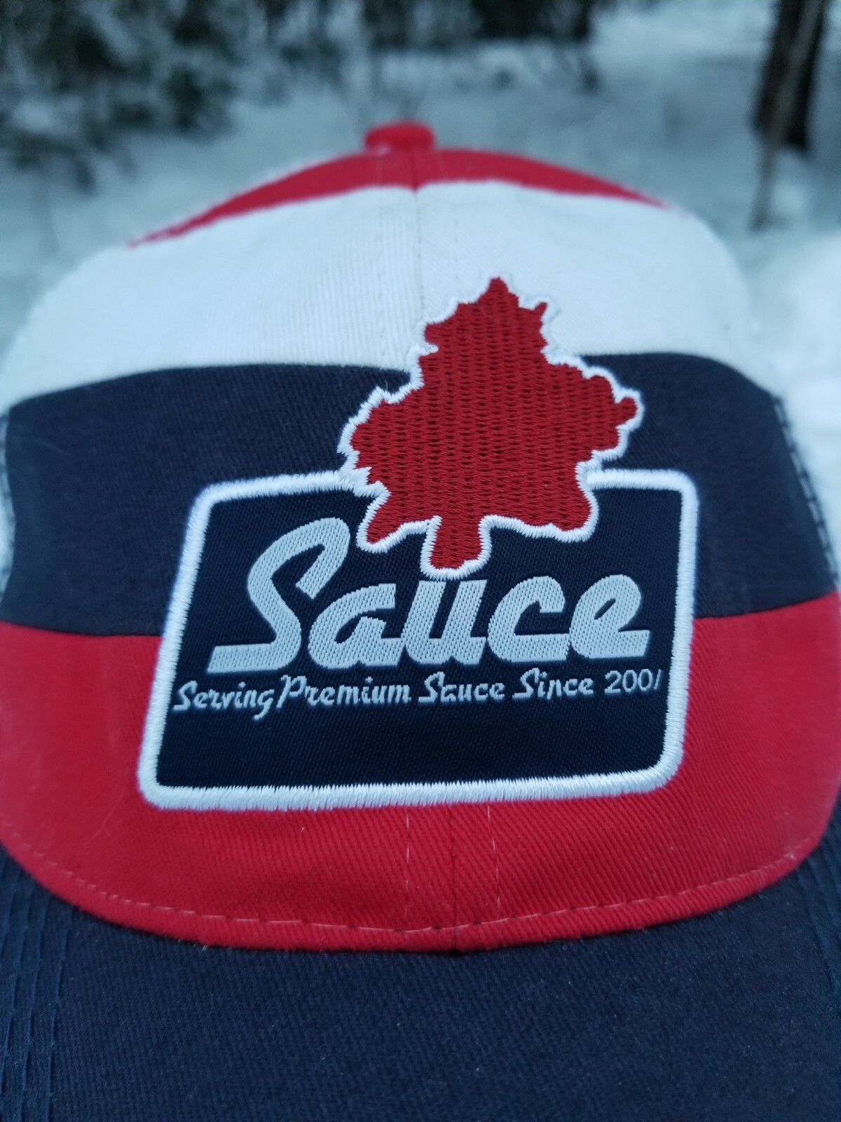 Sauce Hockey Hat Color Block Snapback Adult Saucer Pass Spellout Cap