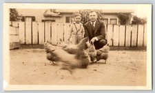 Vintage Photograph - Father & Son w Chickens - Action