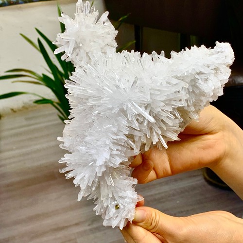 2.62LB Natural transparent chrysanthemum crystal cluster crystal specimen - Picture 13 of 22