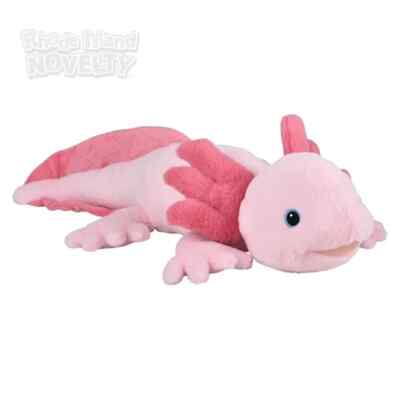 RI (T) 26'' Ocean Safe Promo Axolotl