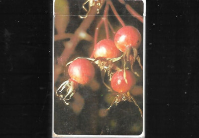 Speedhook Edible And Poisonous Plants Of Western US Cards Detailed Description