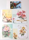 5 Unbranded Illustrated Greeting Cards: Birthday, Sympathy, Anniversary & Blank