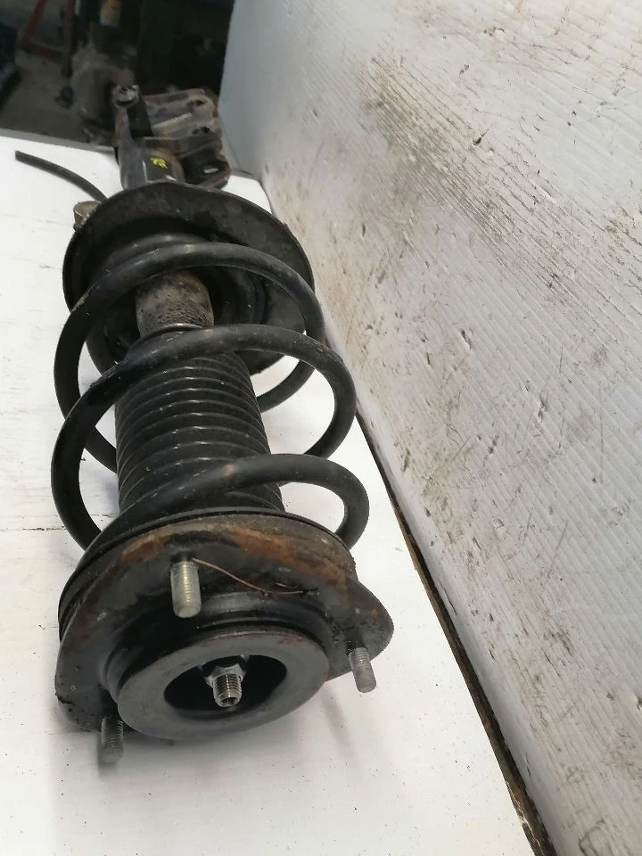 OUTBAKLEG 2021 Strut 1415880 - Image 2 of 4