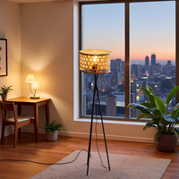 Dimmable Floor Lamps with Interchangeable Shades Tall Standing