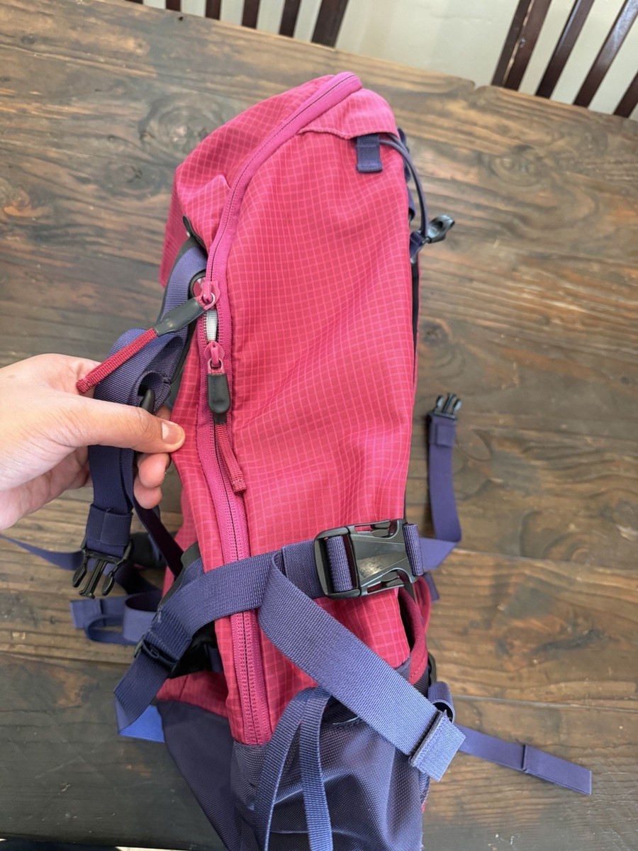 2016 AK Burton Women's Incline 20L Backpack Pink/Purple | eBay