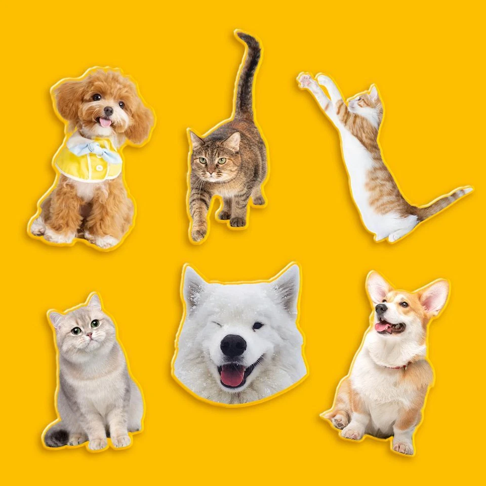 Personaje de dibujos animados acrílico magnético, gato y perro personalizado frigorífico personalizado D2P3 Foto 3 de 4