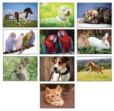 100/200 Tier-Postkarten Set Tierpostkarten Hunde Katzen Vögel Pferde Kaninchen