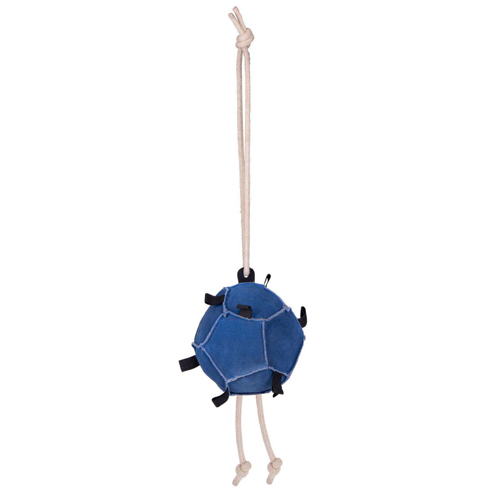 Horse Stable Hanging Toy Ball with Carrot Loops by QHP - Blue
