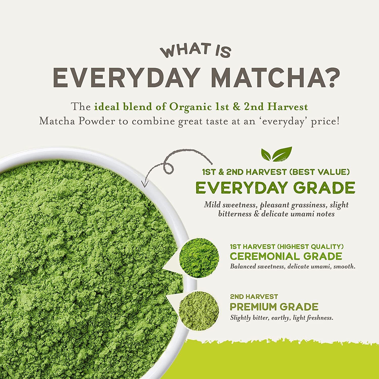 Sencha Eveyrday Natural USDA Organic Matcha Green Tea Powder Rich Antioxidant