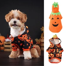 Pumpkin Funny Clothes Cats Pet Halloween Dog Festivals Pet Supplies Sweatshirts
