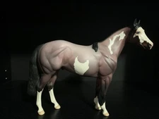 Peter Stone- The Cunning Fox- FCM ISH- LE-4 Roan Pinto- FLAWED