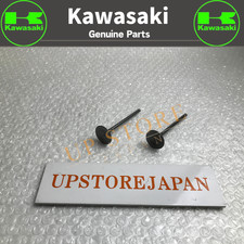 KAWASAKI GENUINE OEM 2004 - 2016 KX 250 F KX250F EXHAUST VALVES - 2 PACK