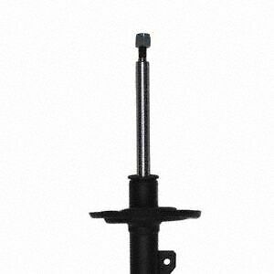 Frt Strut PRT 470474 | eBay