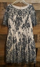 Eliza J Lace Overlay Fit & Flare Dress Dark Romantic Holiday Paty NYE Size 10P