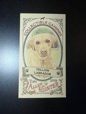 Yellow Labrador 2019 Topps Allen & Ginter Collectible Canines Minis #CC-15