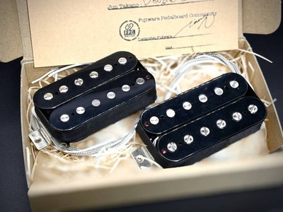 Vintage Guitars (Jun Takano) Z-DRY evol. type2 t / t-w set