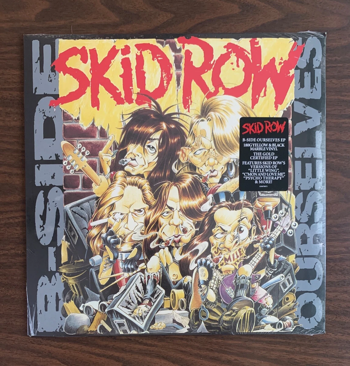 Vinyl Records Skid Row for sale | eBay