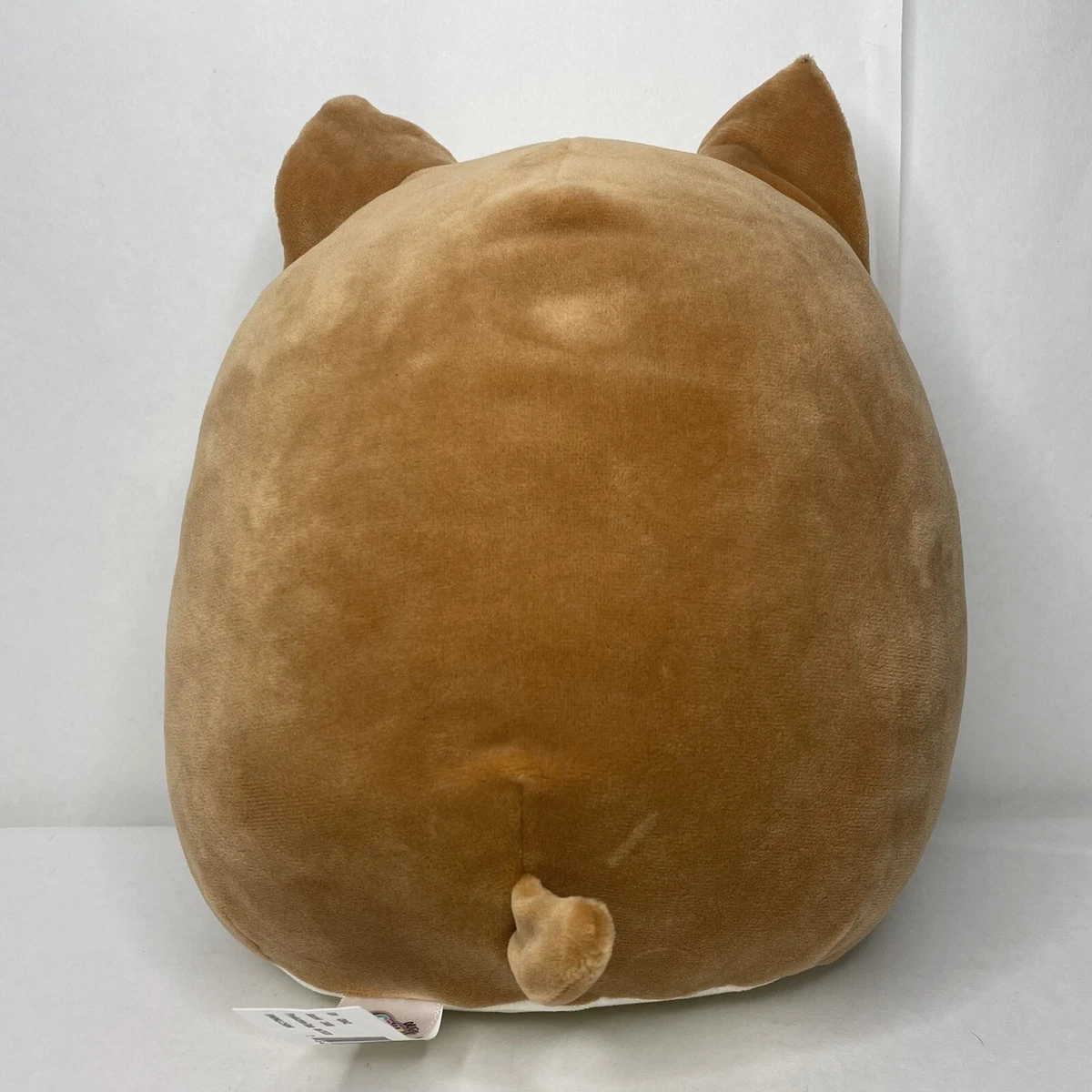 Squishmallow Plush 8 Regina the Corgi Dog Valentines Hugs