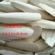 10/20PC 2.4-3.1" Cuttlebone for Birds Parrot Chewing Cuttle Bone for Sharp Beaks