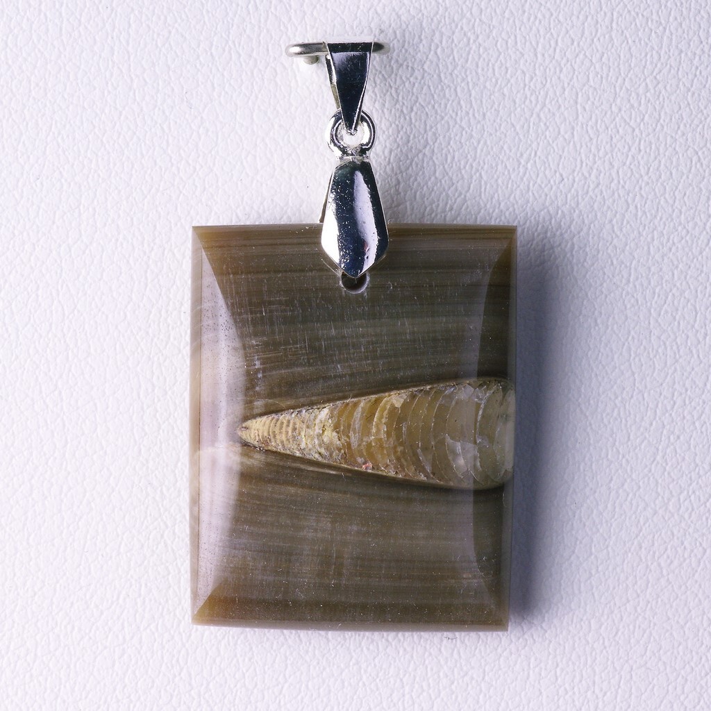 Bélemnite de collection 32,47 CT sur monture délicate en argent