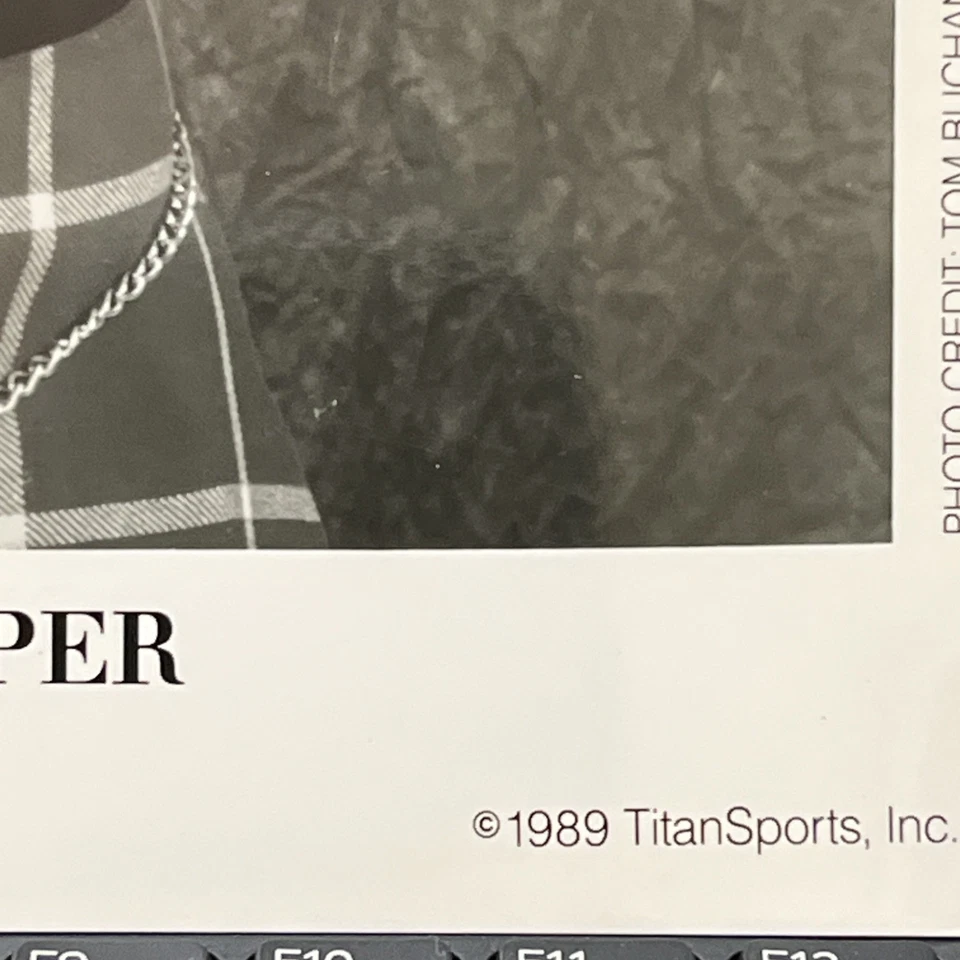 FOTO PROMOCIONAL 8X10 ORIGINAL CON LICENCIA OFICIAL WWE Rowdy Roddy Piper 1989 Titan Foto 3 de 4