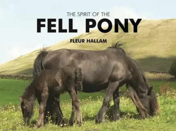 The Spirit Of The Fell Pony | Fleur Hallam | Buch | Gebunden | Englisch | 2008-image