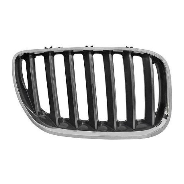 Diederichs LüFtungsgitter KüHlergrill Schwarz Chrom FüR BMW X5 E53 Rechts-image