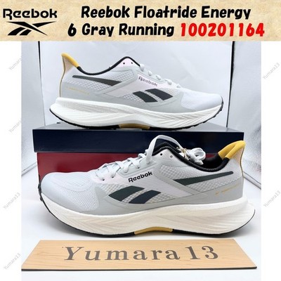 Reebok Floatride Energy 6 Grau Running 100201164 Herren Gr.