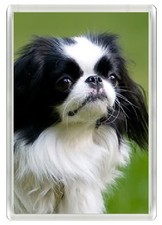 JAPANESE CHIN DOG FRIDGE MAGNET GREAT GIFT
