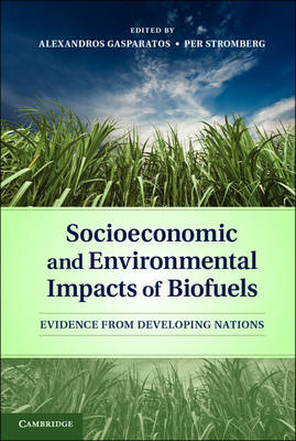 Socioeconomic and Environmental Impacts of Biofuels Gasparatos Stromberg