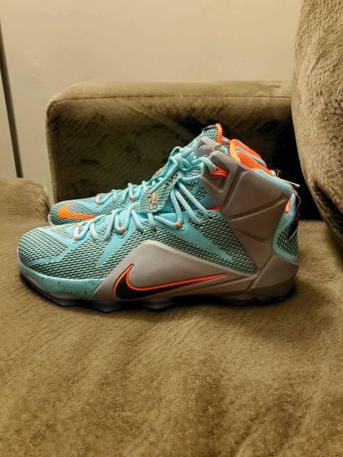 lebron 12 nsrl