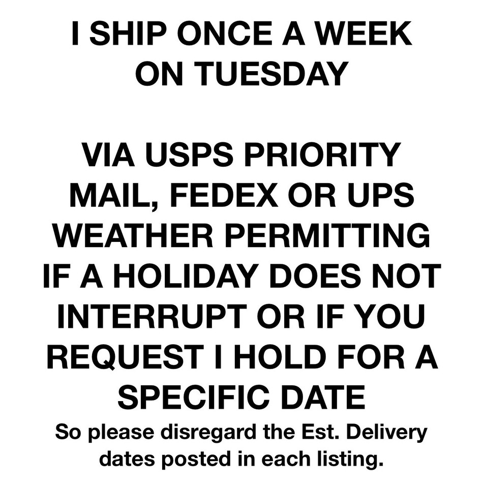 orchid-species-vanda-jennae-seedling-ebay