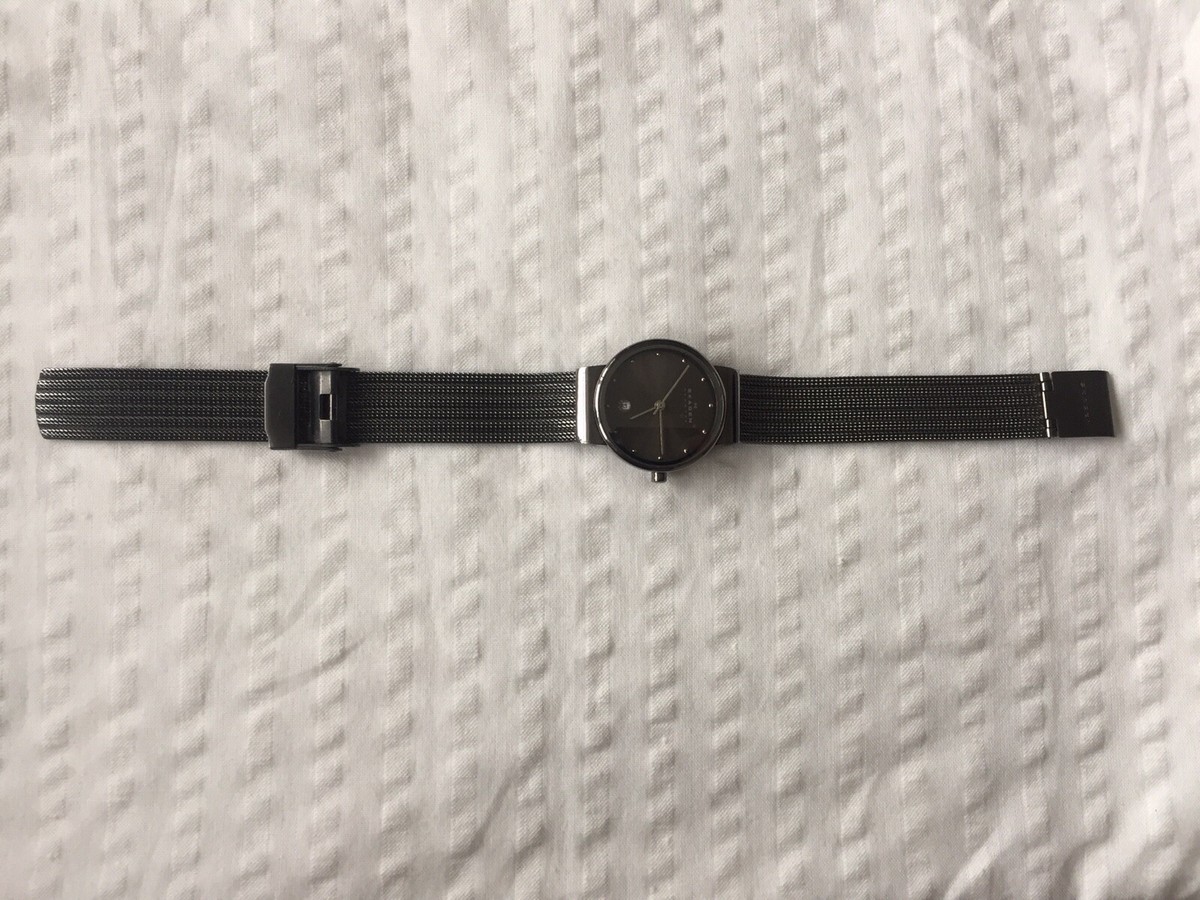 Skagen 355SMM1 Wrist Watch for Women Skagen Ladies main image 3