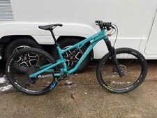 Custom Built Downhill Bird Bike