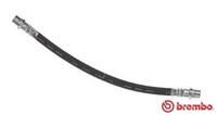 Brembo Bremsschlauch T 11 006 FüR VW T5 SGN SGM SGF Multivan Transporter T6 7HA