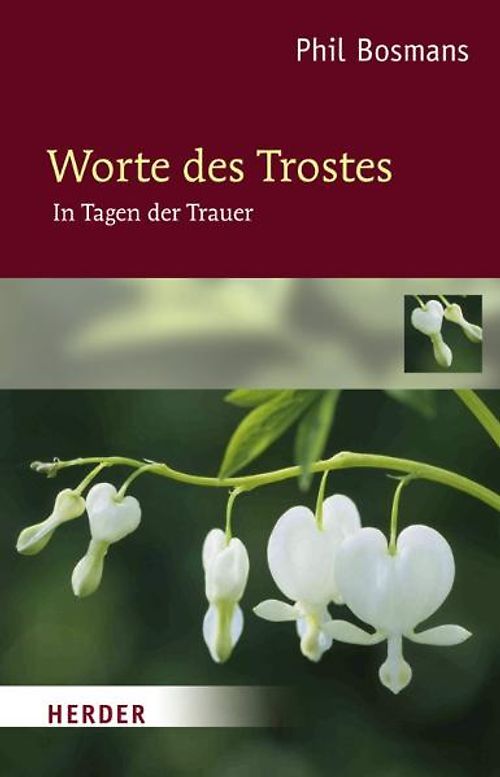 Worte des Trostes. In Tagen der Trauer
