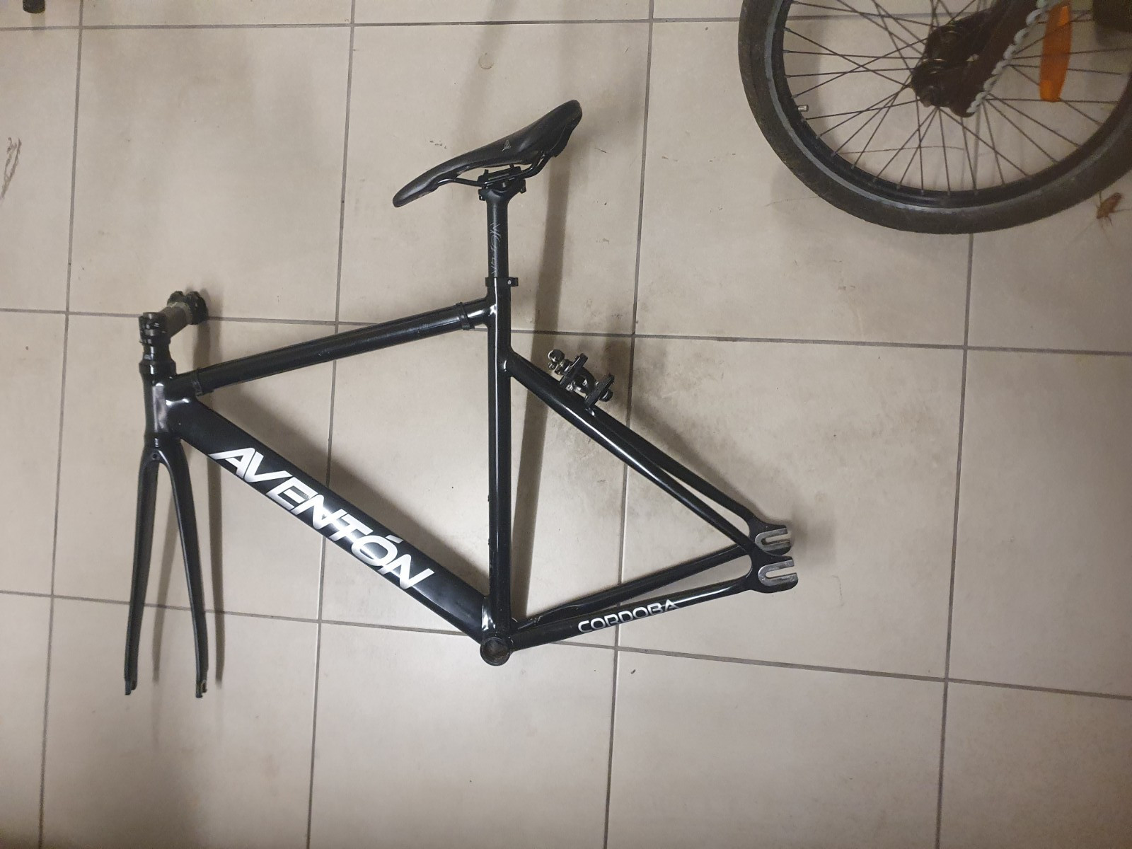 Fixed Gear, 2016 Aventon Cordoba, 50cm, frame