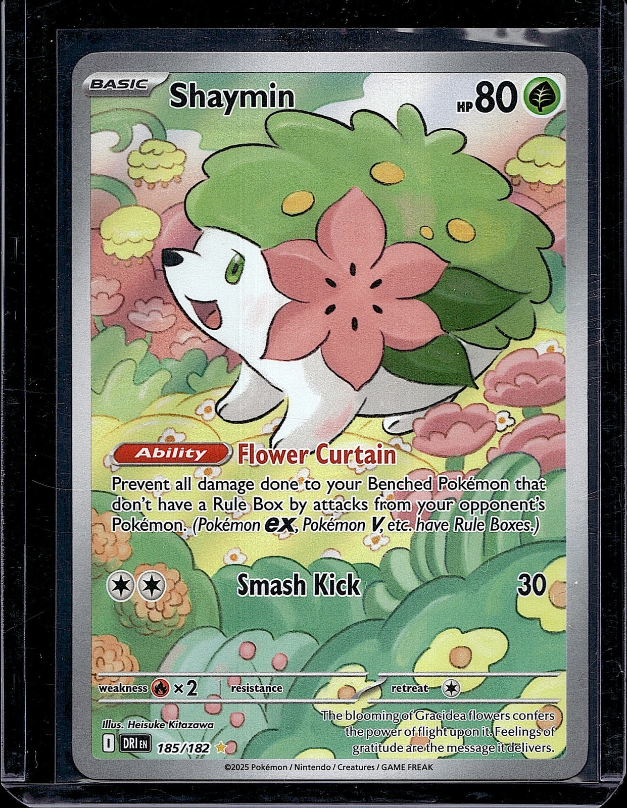 Shaymin 185/182 Illustration Rare Destined Rivals NM Pokemon Card SV10 IR