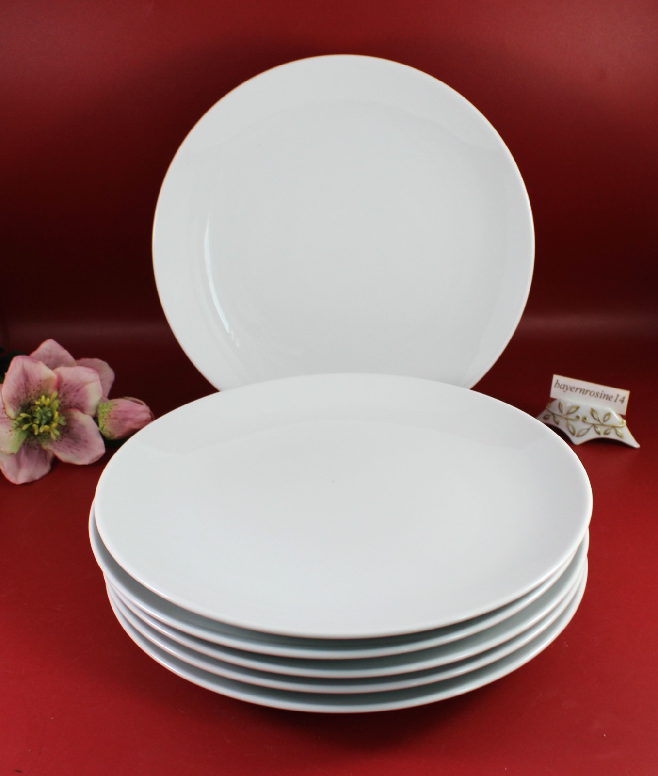 Bauscher Weiden - 6 Stück Speiseteller / Teller flach weiß Ø 24 cm. NEU !