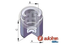 Kolben, Bremssattel Hinterachse FÜR BMW X3 (E83) - Autofren Seinsa D025125