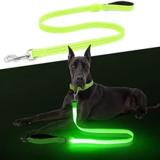 LED Dog Leash, Light Up Dog Leash 4 Ft Fully Illuminated USB Rechargeable Wat...