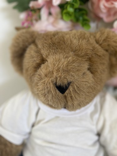 Vintage Vermont Teddy Bear Company Plush Brown Jointed Poseable 16” Jean TShirt - Picture 6 of 24