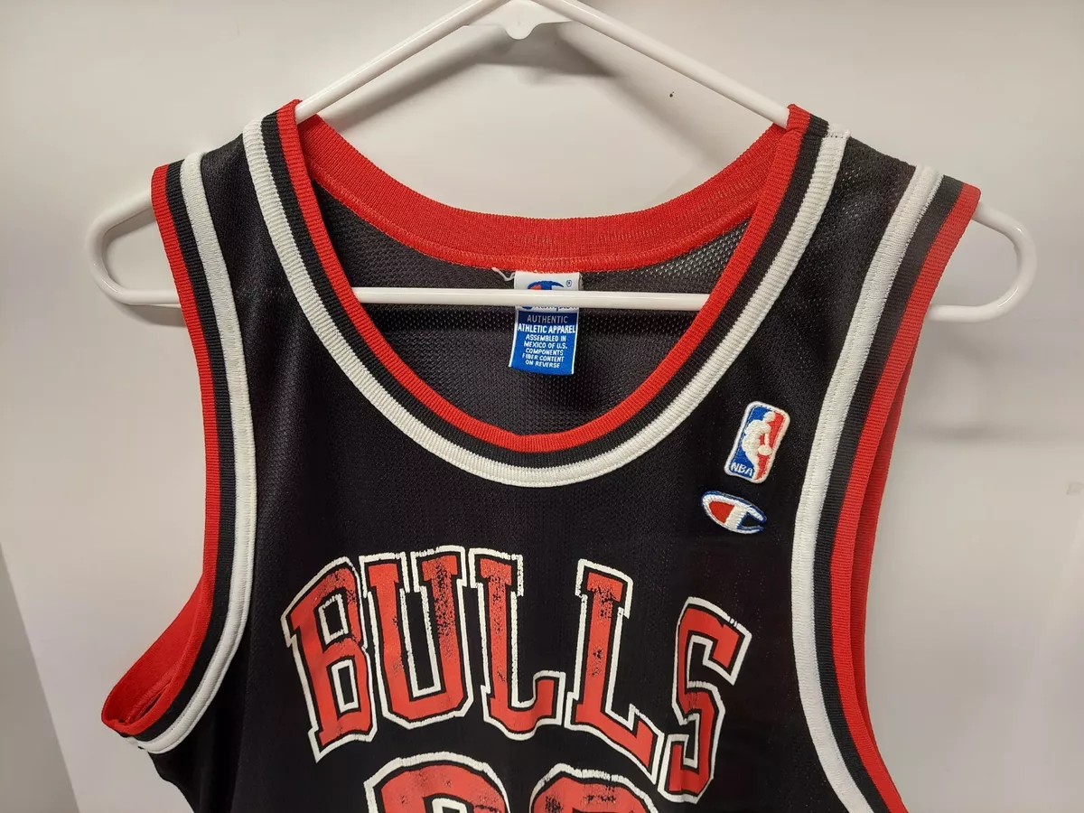 Vintage Jordan Striped Bulls Champion Jersey Size 48