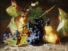 pears grapes fruit Tile Mural Kitchen Bathroom Wall Backsplash Marble Ceramic