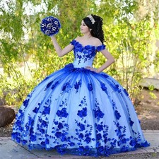 Blue Ball Gown Quinceanera Dress Princess Sweet 16 Dress Beaded Pearls 3D Floral