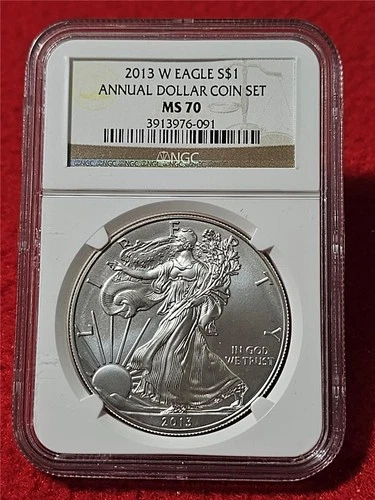 2013-W American Silver Eagle ASE Dollar NGC MS 70 ANNUAL DOLLAR COIN SET #T1306