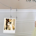 Foto 2 di 12