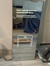 Lululemon Mirror