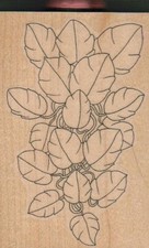 Leaves Extra Leaf 2 3/4 x 4" Rubber Stamp, Flower Stamp, Plant Stamp